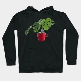 A Deliciosa cup of Monstera Hoodie